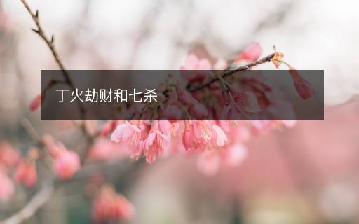 丁火劫財和七殺