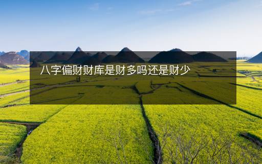 八字偏財(cái)財(cái)庫是財(cái)多嗎還是財(cái)少