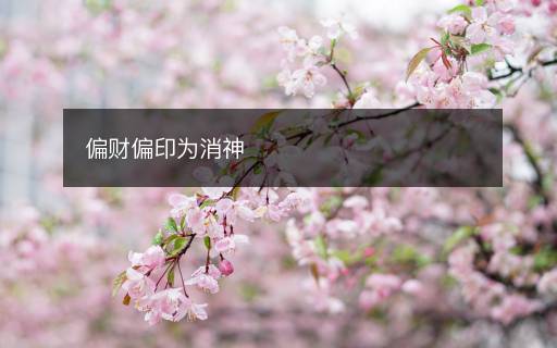 偏財(cái)偏印為消神