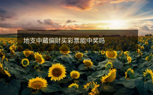 地支中藏偏財買彩票能中獎嗎