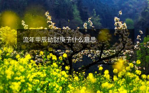 流年甲辰劫財(cái)庚子什么意思