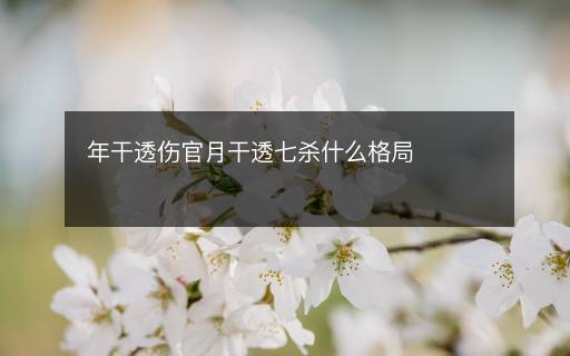 年干透傷官月干透七殺什么格局