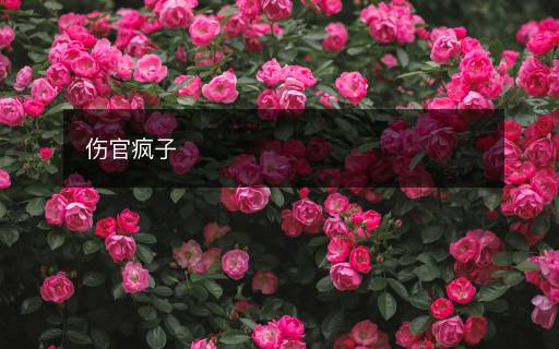 傷官瘋子