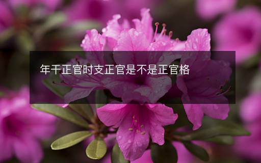 年干正官時(shí)支正官是不是正官格