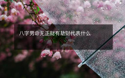 八字男命無正財有劫財代表什么