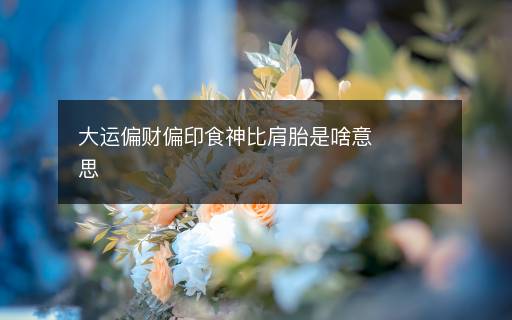 大運偏財偏印食神比肩胎是啥意思