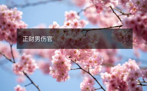 正財(cái)男傷官
