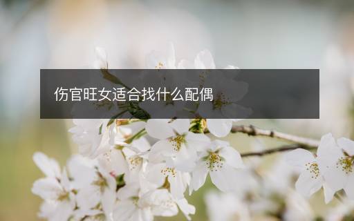 傷官旺女適合找什么配偶