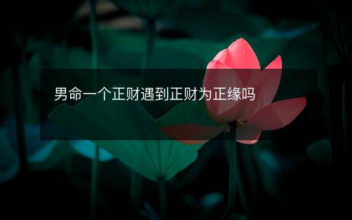 男命一個正財遇到正財為正緣嗎