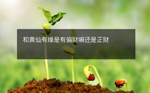 和黃仙有緣是有偏財嘛還是正財
