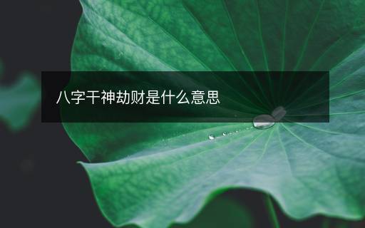八字干神劫財(cái)是什么意思