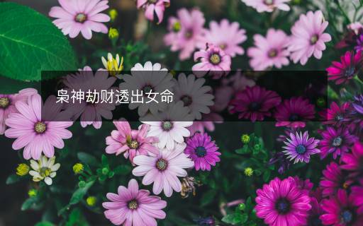 梟神劫財(cái)透出女命
