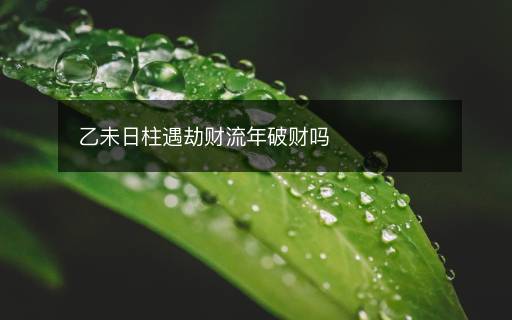 乙未日柱遇劫財(cái)流年破財(cái)嗎