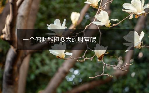 一個偏財能擔(dān)多大的財富呢