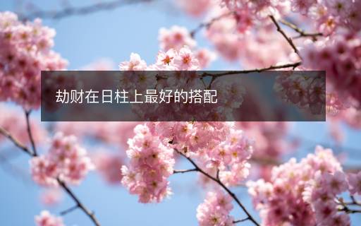 劫財(cái)在日柱上最好的搭配