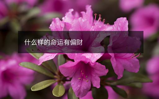 什么樣的命運(yùn)有偏財(cái)