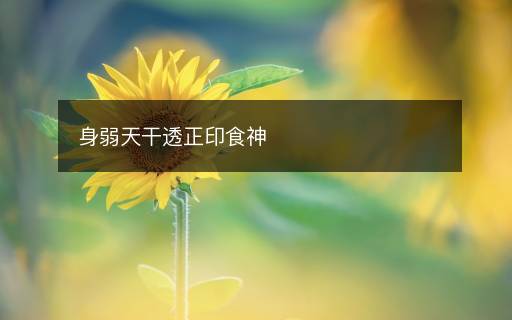身弱天干透正印食神