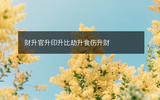 財(cái)升官升印升比劫升食傷升財(cái)