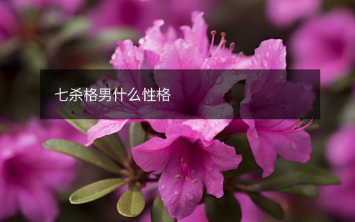 七殺格男什么性格