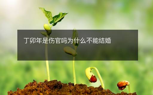 丁卯年是傷官嗎為什么不能結(jié)婚