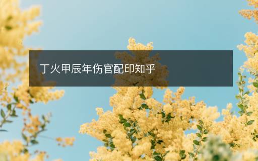 丁火甲辰年傷官配印知乎
