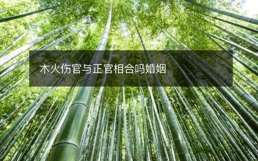 木火傷官與正官相合嗎婚姻