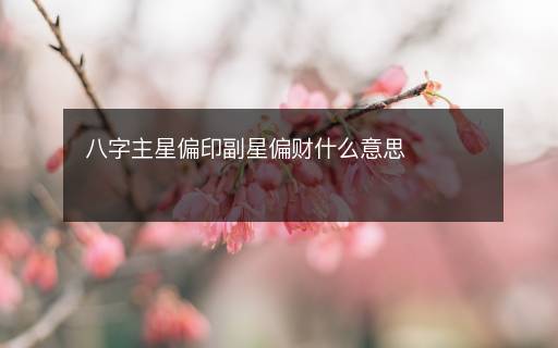 八字主星偏印副星偏財(cái)什么意思