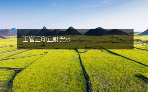 正官正印正財癸水