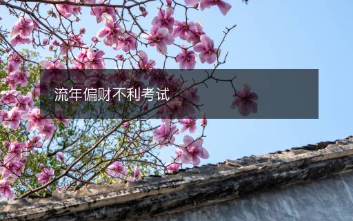 流年偏財不利考試