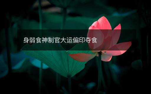 身弱食神制官大運偏印奪食