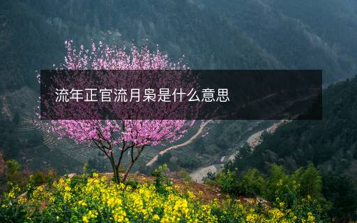流年正官流月梟是什么意思
