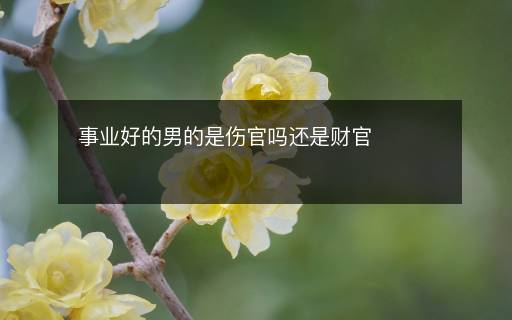 事業(yè)好的男的是傷官嗎還是財官