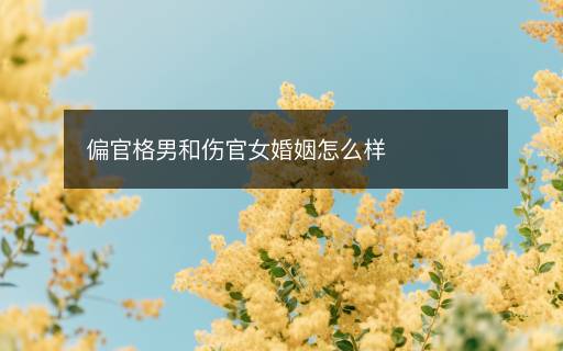 偏官格男和傷官女婚姻怎么樣