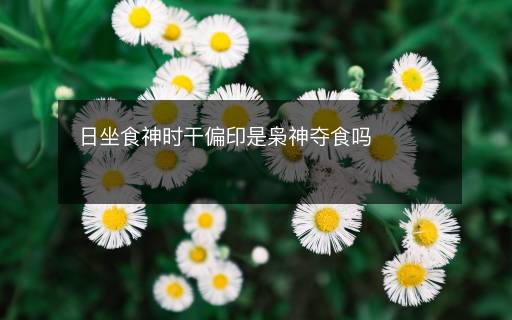 日坐食神時干偏印是梟神奪食嗎