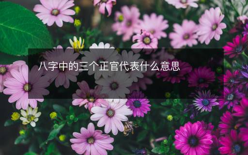 八字中的三個(gè)正官代表什么意思