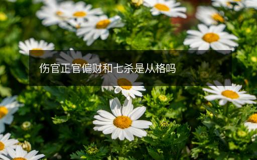傷官正官偏財和七殺是從格嗎