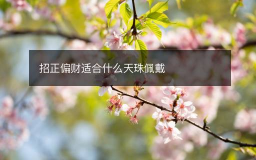 招正偏財適合什么天珠佩戴