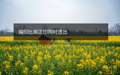 偏印比肩正印同時透出