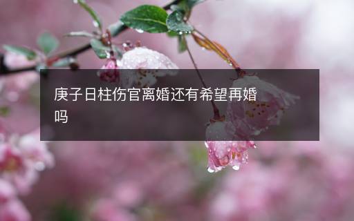庚子日柱傷官離婚還有希望再婚嗎