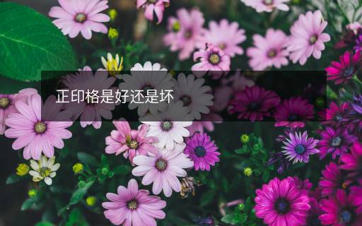 正印格是好還是壞
