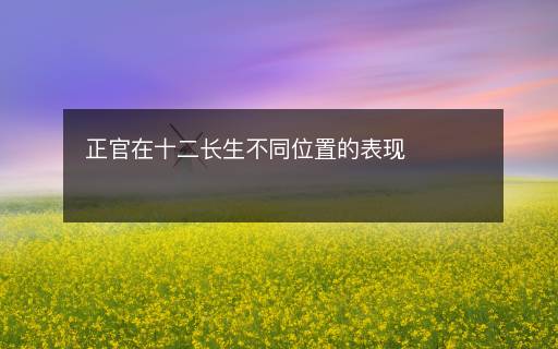 正官在十二長(zhǎng)生不同位置的表現(xiàn)