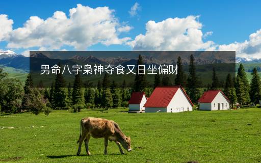 男命八字梟神奪食又日坐偏財(cái)