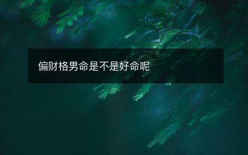 偏財格男命是不是好命呢