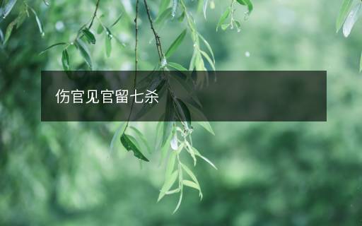傷官見官留七殺