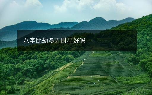 八字比劫多無財(cái)星好嗎