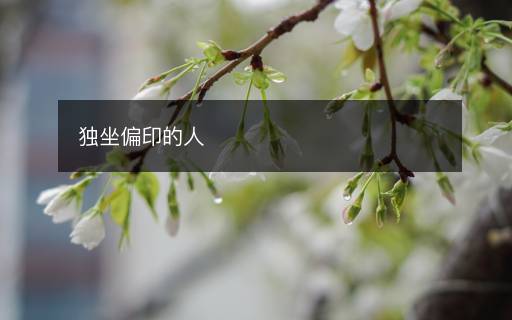 獨(dú)坐偏印的人