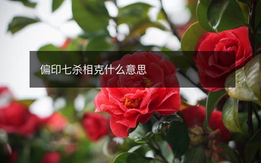 偏印七殺相克什么意思