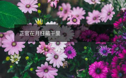 正官在月柱藏干里