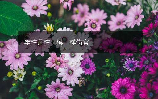 年柱月柱一模一樣傷官
