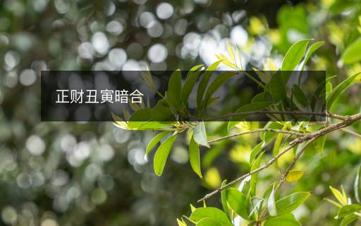 正財(cái)丑寅暗合